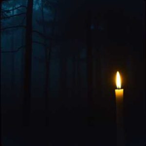 Lumière née des ombres